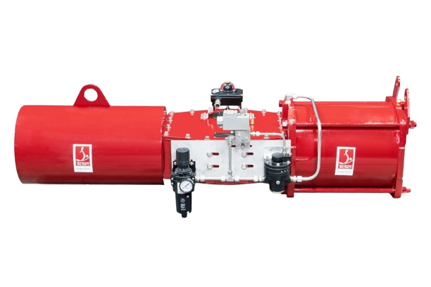 Pneumatic Actuators 6